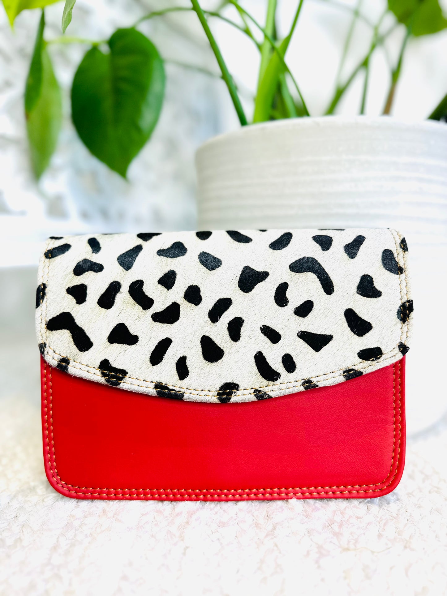 Animal Print / Red Small Clutch
