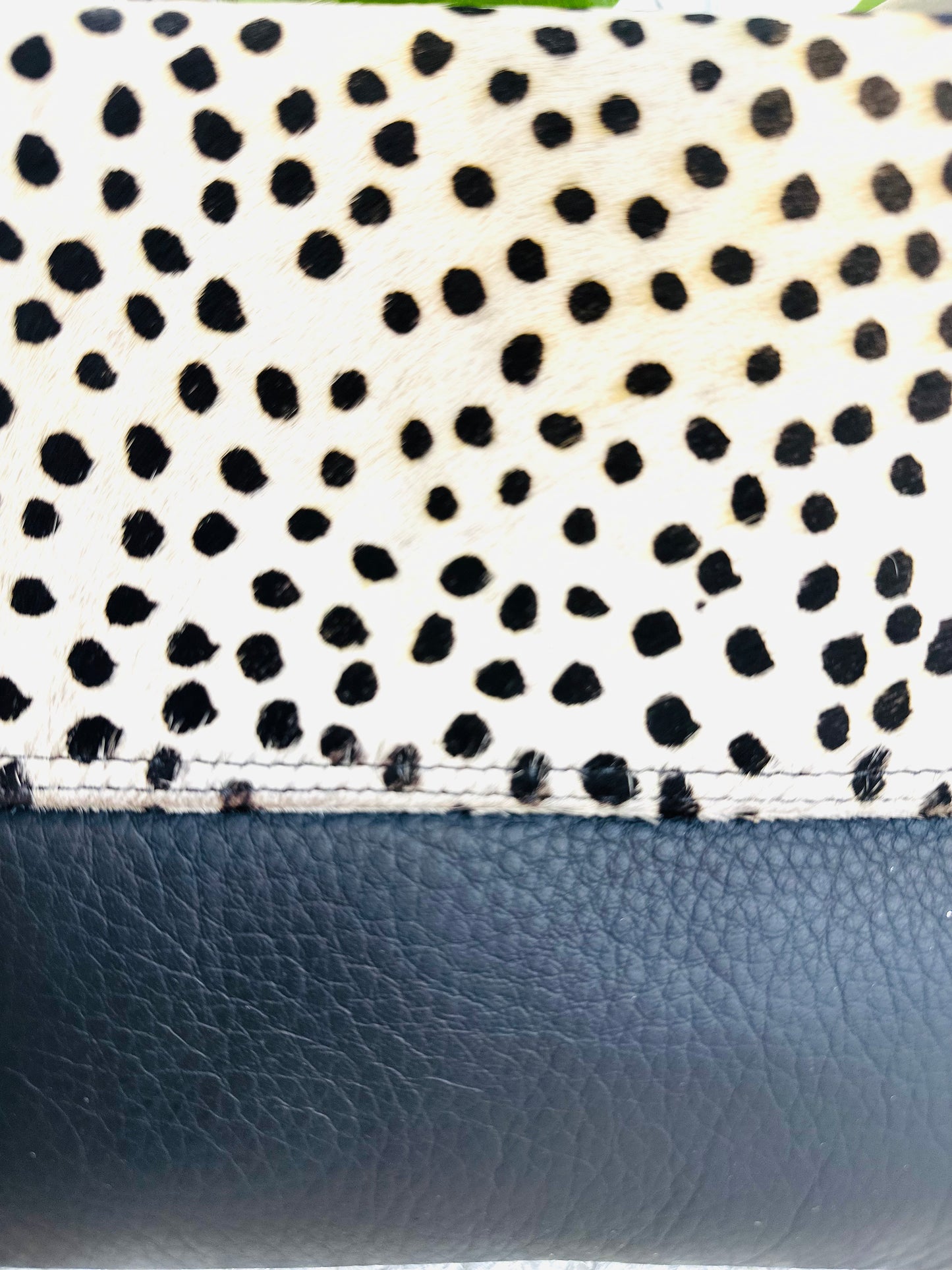 Black Spotted Large Animal Print Clutch